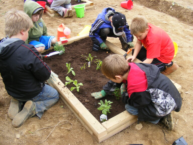 GreenSchoolGrounds-plantingbeds_KeswickRidge