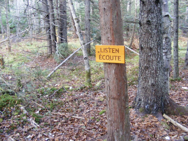 GreenSchoolGrounds_Listen_KeswickRidge