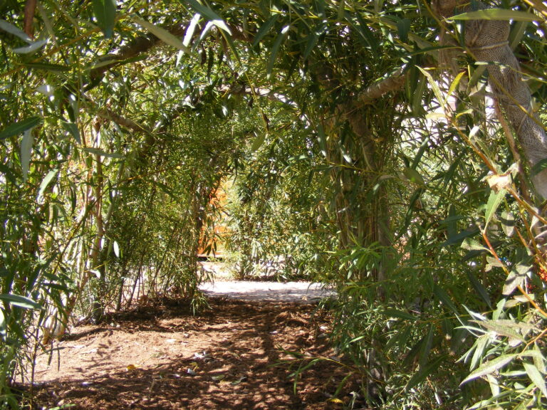 GreenSchoolGrounds_LivingTunnel_EvergrenBrickworks