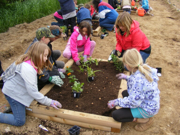 GreenSchoolGrounds_PlantingBeds_KeswickRidge