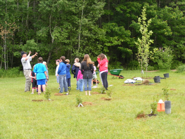 GreenSchoolGrounds_TreePlanting_KeswickRidge