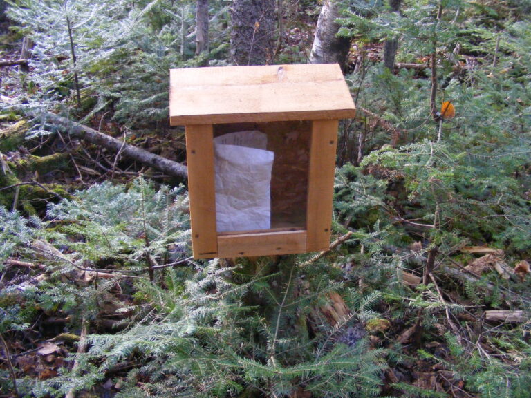 GreenSchoolGrounds_trailBox_KeswickRidge